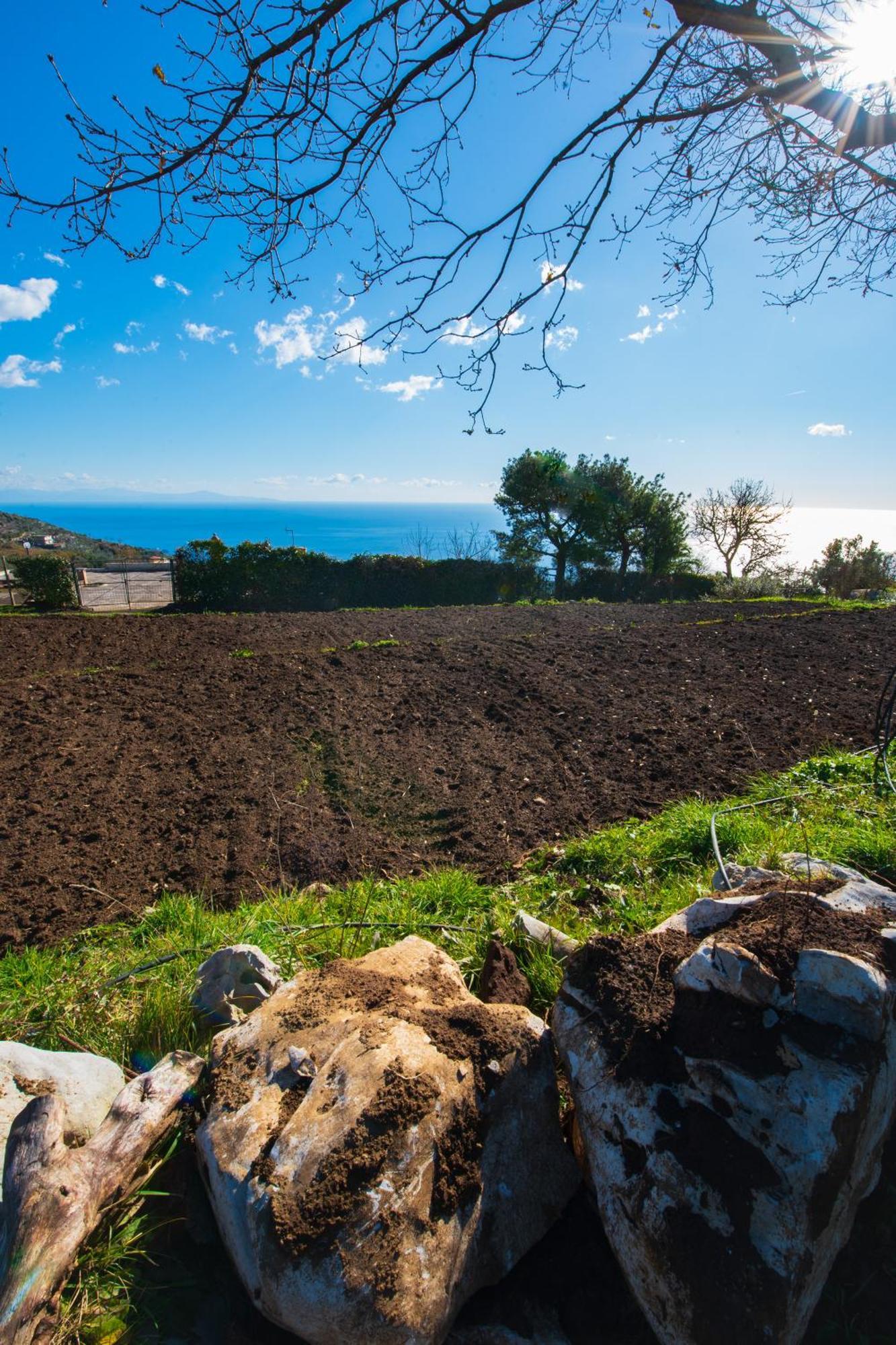 Bauernhof Fattoria Terranova SantʼAgata sui Due Golfi