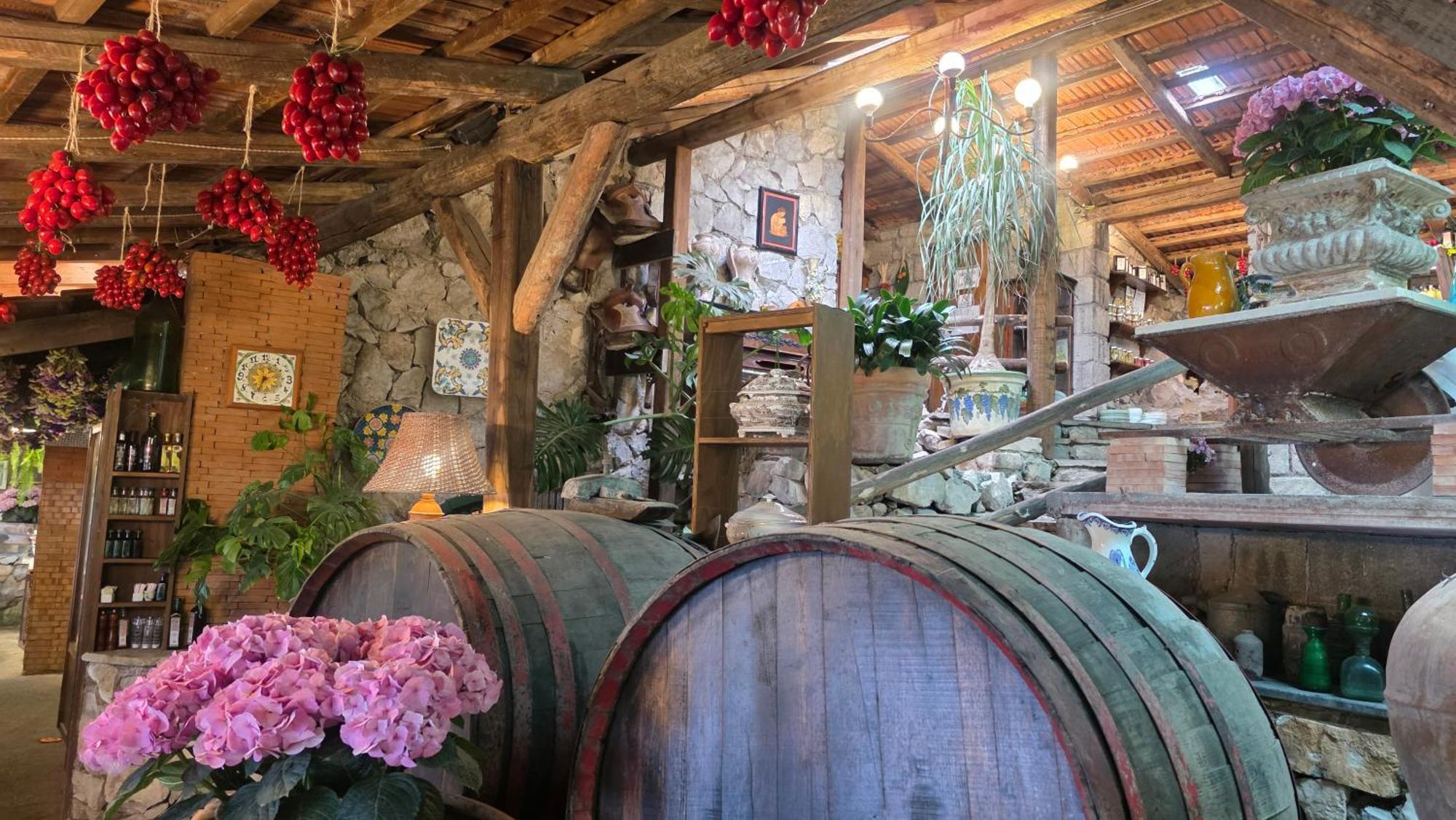 Fattoria Terranova *