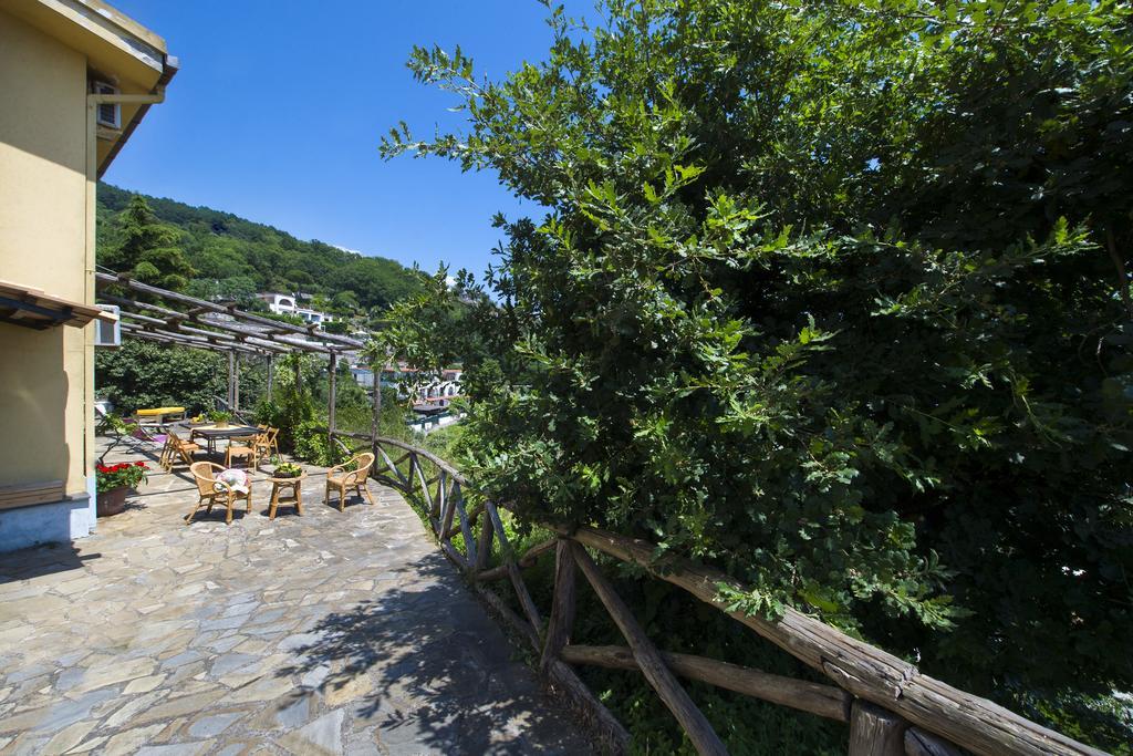 Fattoria Terranova