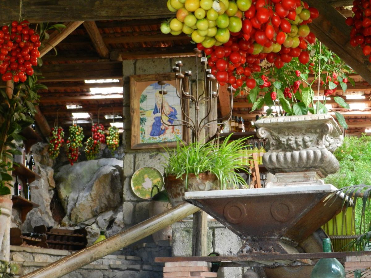 Fattoria Terranova Bauernhof SantʼAgata sui Due Golfi