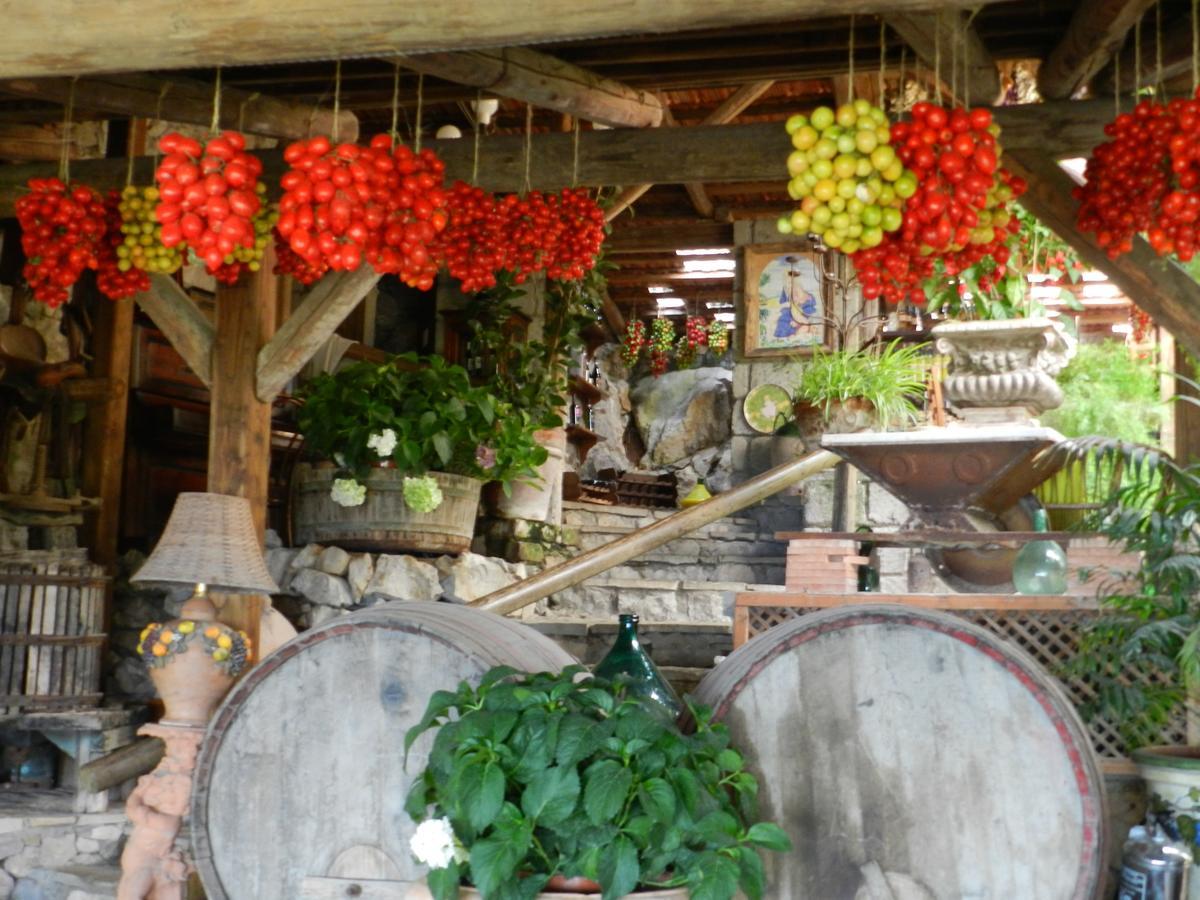 Fattoria Terranova Bauernhof SantʼAgata sui Due Golfi