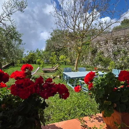Agriturismo Fattoria Terranova SantʼAgata sui Due Golfi Extérieur photo