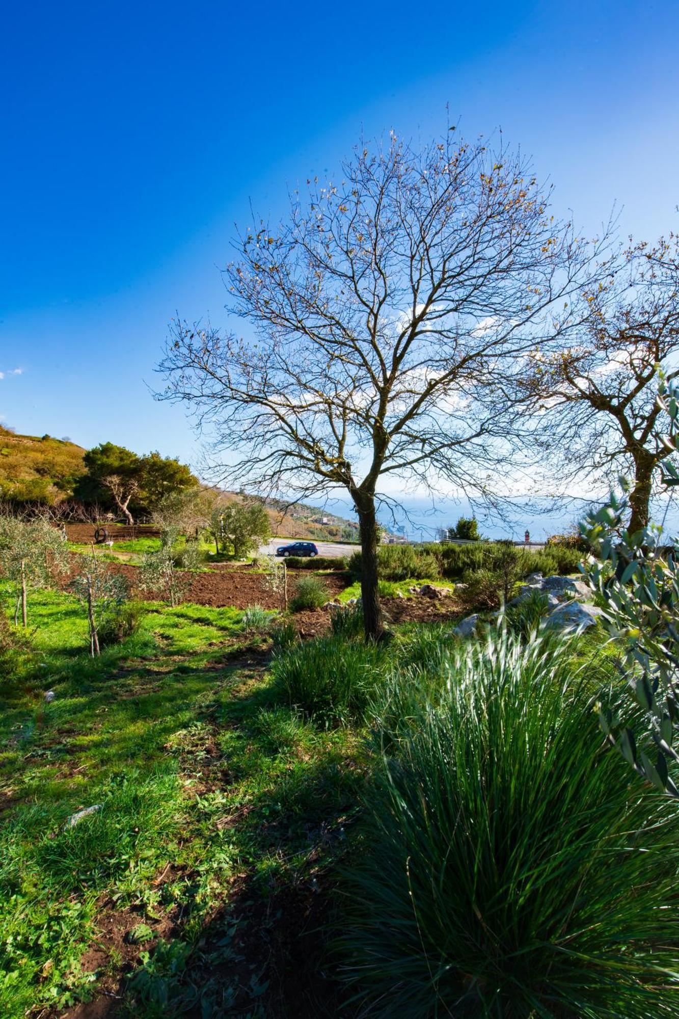 Farm stay Fattoria Terranova