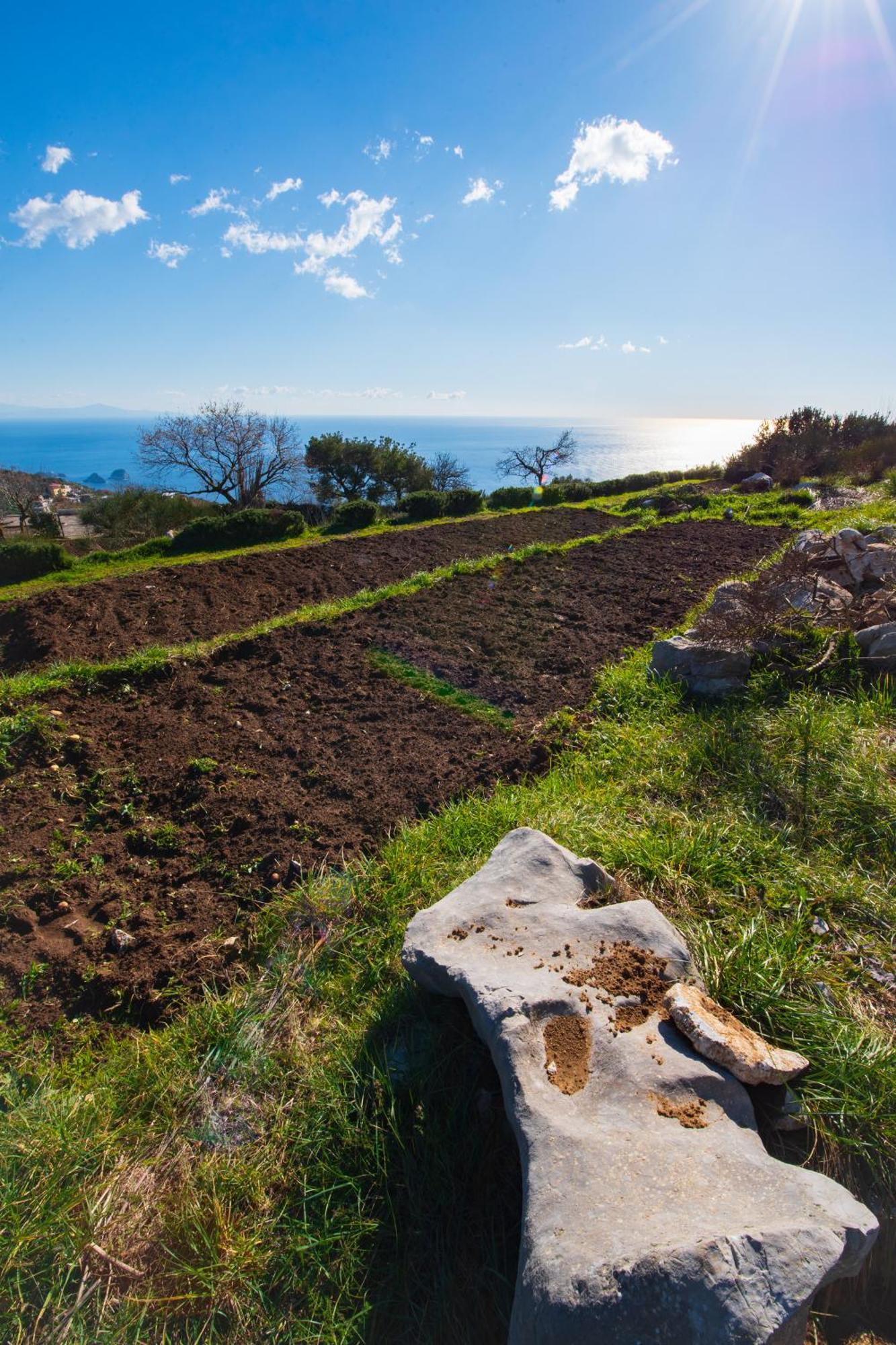 Farm stay Fattoria Terranova
