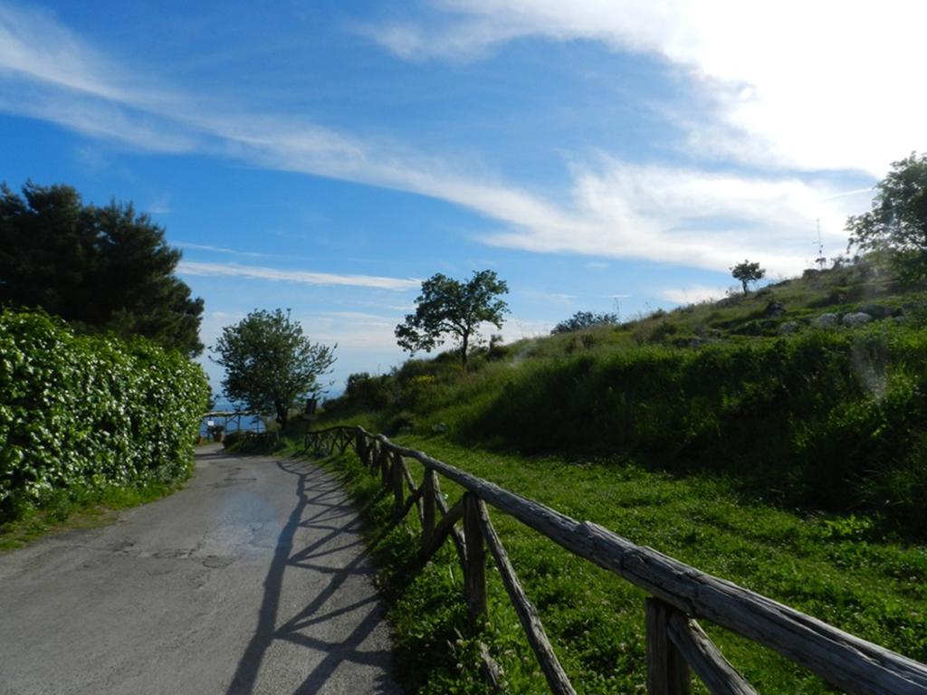 Fattoria Terranova