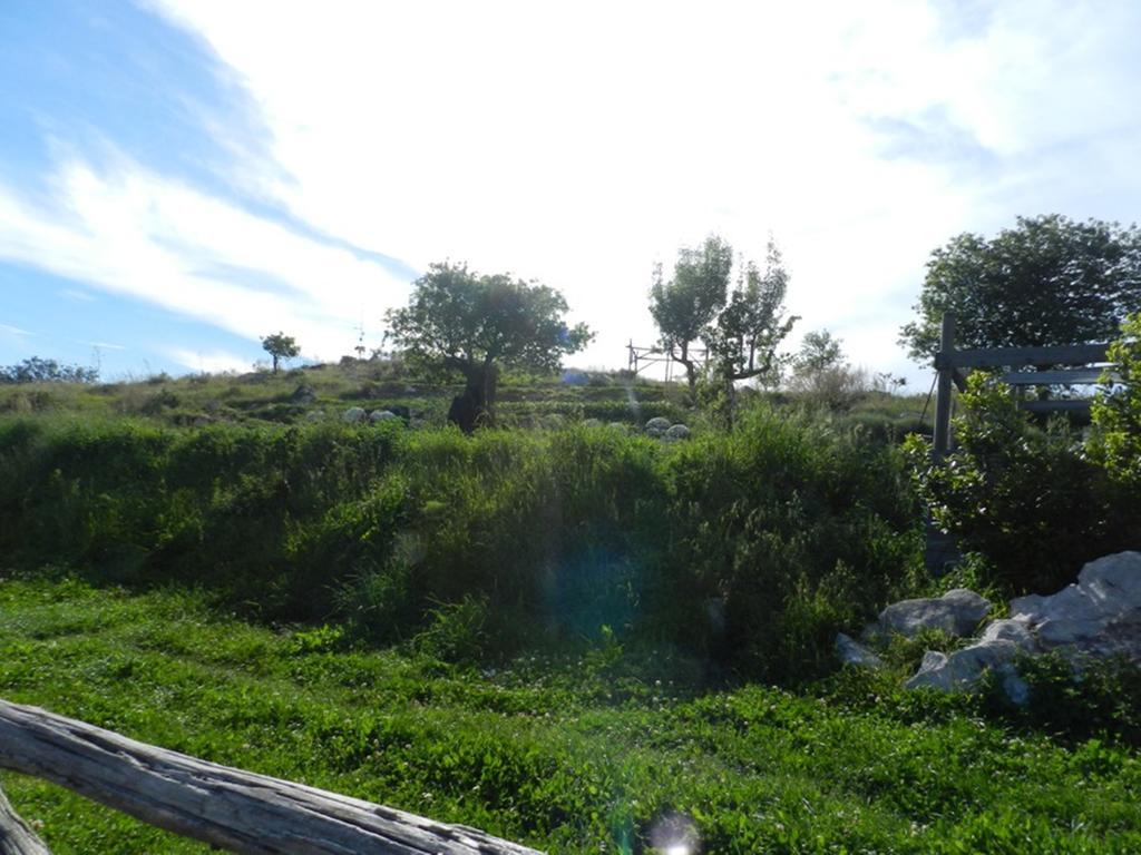 Vakantieboerderij Fattoria Terranova SantʼAgata sui Due Golfi