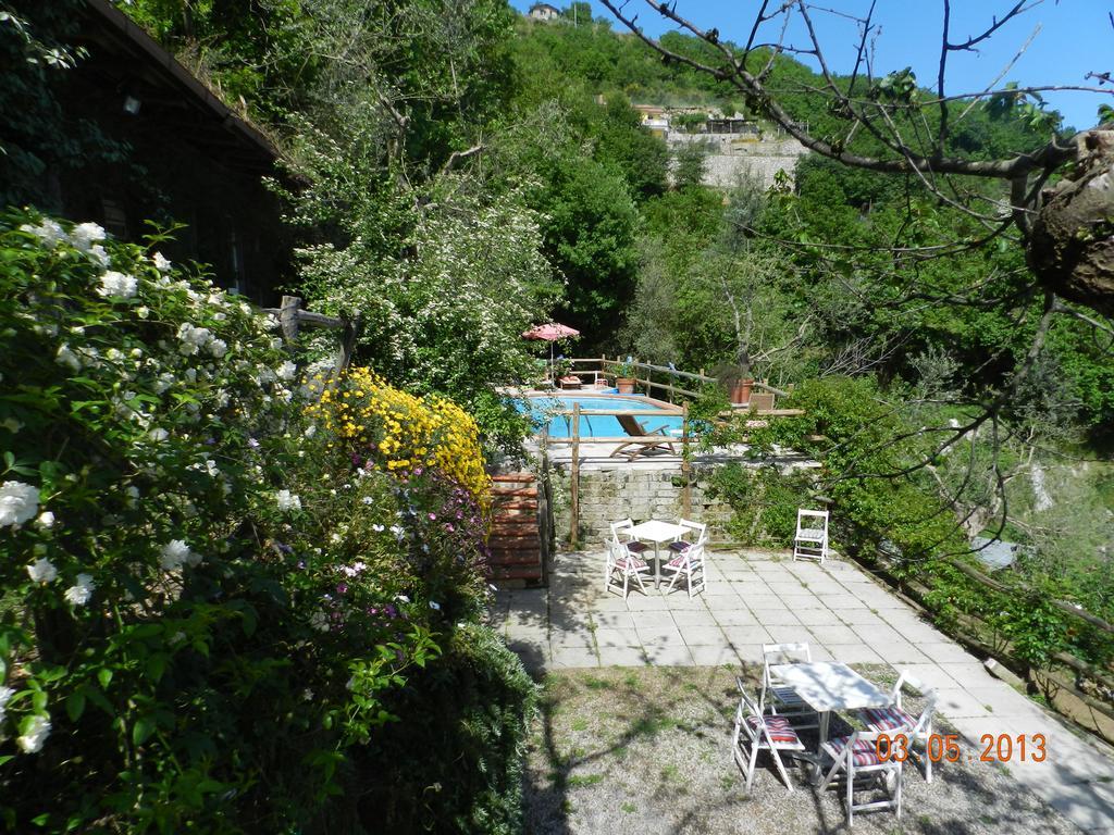 Fattoria Terranova *
