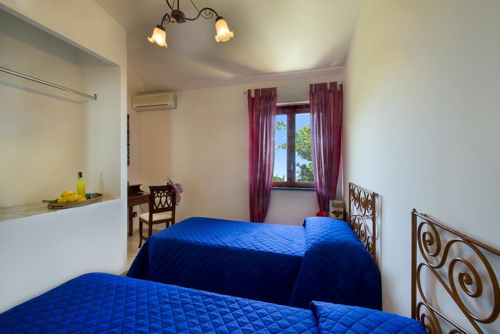 Fattoria Terranova Farm stay