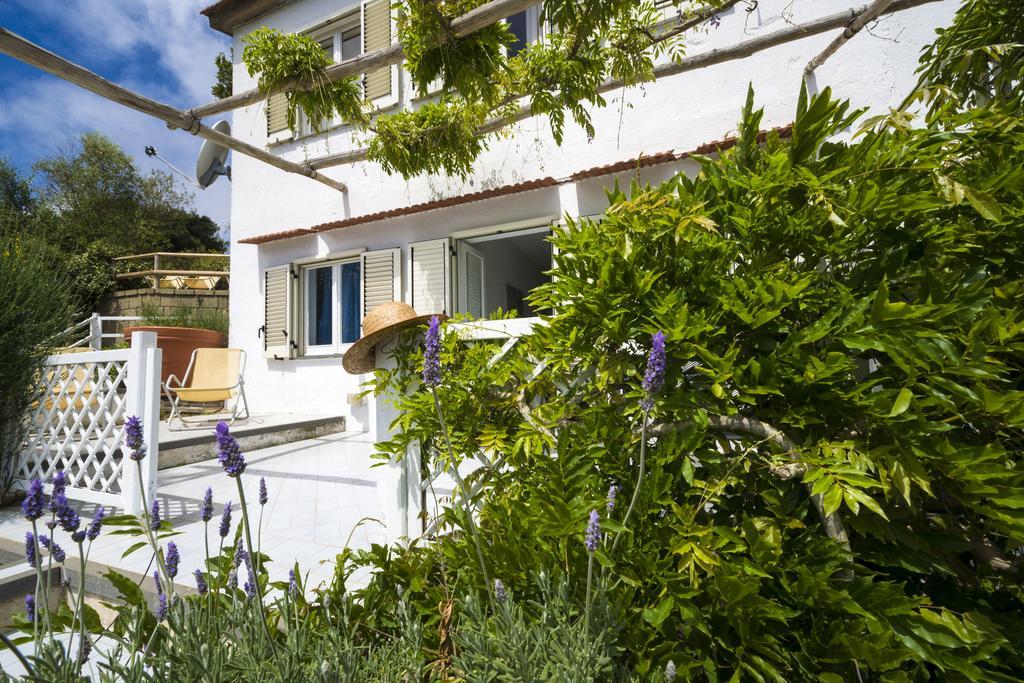 Fattoria Terranova Vakantieboerderij