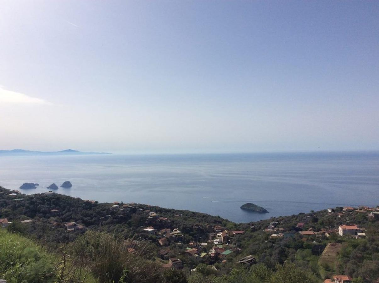 Fattoria Terranova Farm stay Sant'Agata sui due Golfi