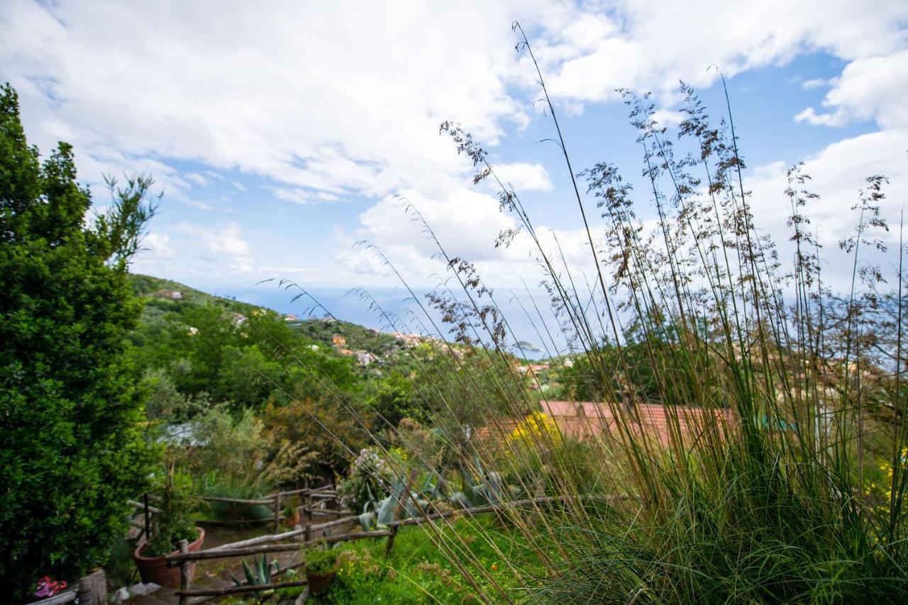 Fattoria Terranova Farm stay Sant'Agata sui due Golfi