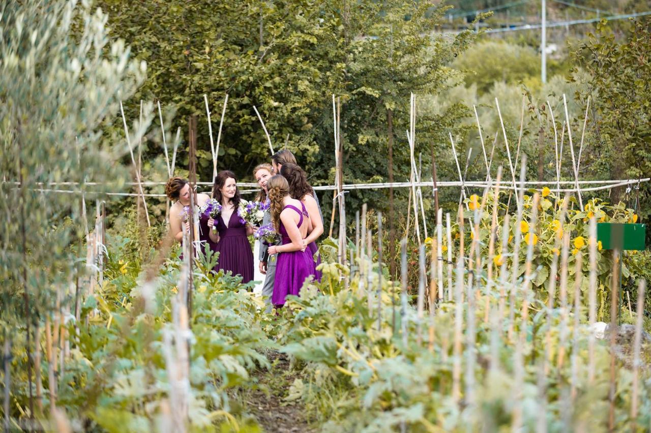 Vakantieboerderij Fattoria Terranova